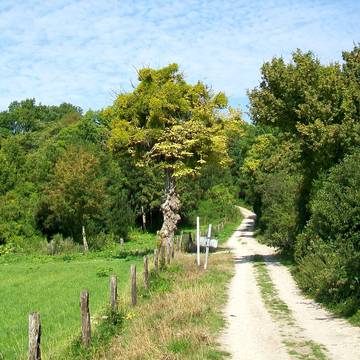 Château de Boran-sur-Oise